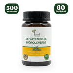 Própolis Verde (60 caps.)