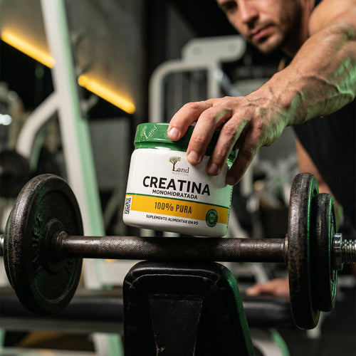 Creatina Land (300g)
