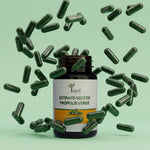 Própolis Verde (60 caps.)