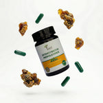 Própolis Verde (60 caps.)